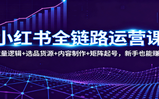 小红书全链路运营课：流量逻辑+选品货源+内容制作+矩阵起号，新手也能赚钱