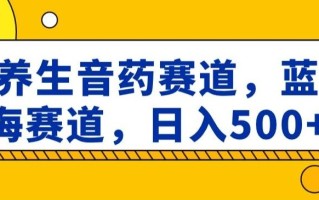 养生音药赛道，蓝海赛道，日入500+【揭秘】