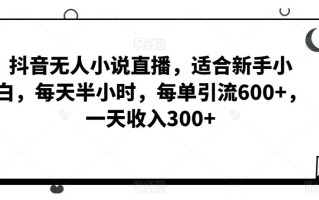 抖音无人小说直播，适合新手小白，每天半小时，每单引流600+，一天收入300+
