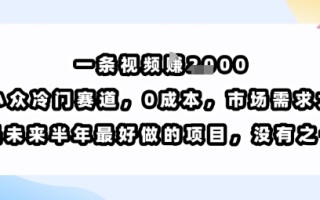 一条视频挣1k，小众冷门赛道，0成本，市场需求大，是未来半年最好做的项目，没有之一
