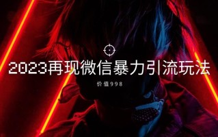 价值998元2023最新微信暴力引流玩法，日引流50-100+