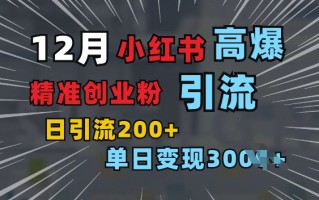 小红书一张图片“引爆”创业粉，单日+200+精准创业粉 可筛选付费意识创业粉【揭秘】