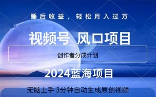 2024蓝海项目，3分钟自动生成视频，月入过万