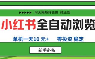 小红书全自动浏览项目，零投资，全程手机去跑，单账号一天10米+，可无限矩阵去做【揭秘】