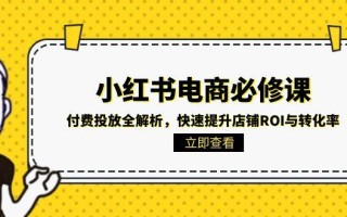 小红书电商必修课：付费投放全解析，快速提升店铺ROI与转化率