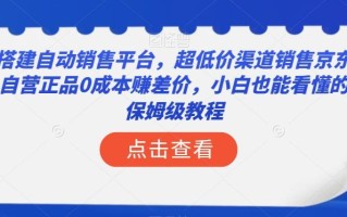 搭建自动销售平台，超低价渠道销售京东自营正品0成本赚差价，小白也能看懂的保姆级教程【揭秘】