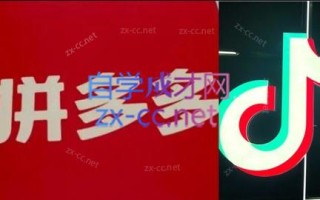 老陶电商·拼多多+抖音小店无货源开店(更新5月)