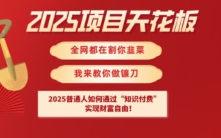 2025项目天花板普通人如何通过知识付费，实现财F自由【揭秘】