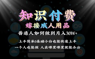 2024普通人做知识付费结合成人用品如何实现单月变现30w 保姆教学1.0