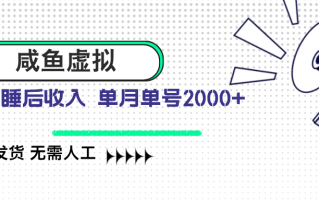 咸鱼虚拟资料 自动发货 无需人工 单月单号2000+