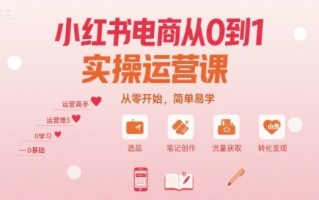 小红书电商从0到1实操运营课，从零开始，简单易学
