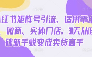 小红书矩阵号引流，适用于电商、微商、实体门店，30天从0基础新手蜕变成卖货高手