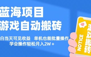【蓝海项目】游戏自动搬砖 小白当天可见收益 单机也能批量操作 学会操…