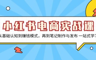小红书电商实战课，从基础认知到赚钱模式，再到笔记制作与发布 一站式学习