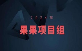 2024年果果项目组项目合集-果果最新项目