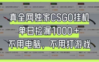 真全网独家CSGO挂机，单日捡漏1000+，不用电脑，不用养号