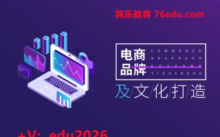 电商品牌及文化打造（3集） mp4高清无水印视频教程网盘免费下载