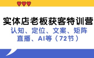 实体店老板获客特训营：认知、定位、文案、矩阵、直播、AI等(72节