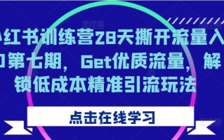 小红书训练营28天撕开流量入口第七期，Get优质流量，解锁低成本精准引流玩法