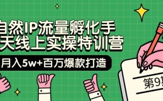 (9881期)自然IP流量孵化手 14天线上实操特训营【第9期】月入5w+百万爆款打造 (74节)