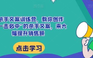 AI杀手文案训练营，教你创作出“一击必中”的杀手文案，来大幅提升销售额
