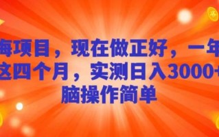 蓝海项目，现在做正好，一年就做这4个月，实测日入3000+，无脑简单操作