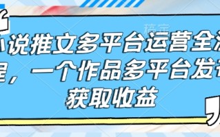 小说推文多平台运营全流程，一个作品多平台发布获取收益