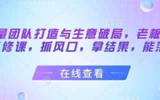 流量团队打造与生意破局，老板流量必修课，抓风口，拿结果，能落地