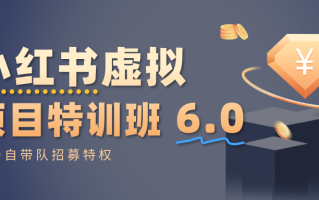 小红书虚拟项目特训班6.0 ，养号/选品/自动发货/爆款笔记(含40节视频课)