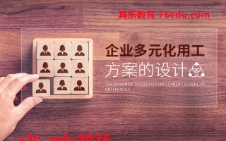 企业多元化用工方案的设计（2集） mp4高清无水印视频教程网盘免费下载