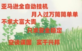 亚马逊全自动浏览挂机，，收益稳定且前景广阔