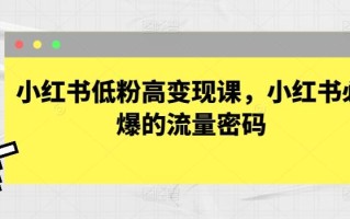 小红书低粉高变现课，小红书必爆的流量密码