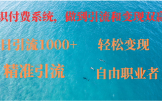 如何搭建自己的知识付费系统，做到引流和变现双赢