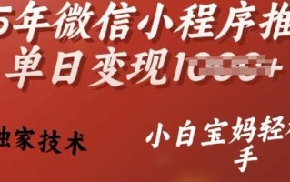 25年微信小程序推广单日变现多张，独家技术，小白宝妈轻松上手【揭秘】