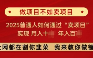 必看，做项目不如卖项目，2025普通人如何通过“卖项目”实现月入十个，年入百个