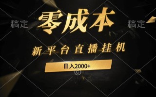(9841期)新平台直播挂机最新玩法，0成本，不违规，日入2000+