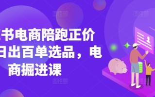 小红书电商陪跑正价课，小红书官方认证电商讲师教学，日出百单选品，电商掘进课