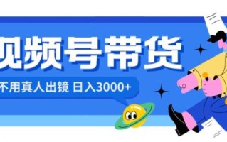 视频号带货，日入3000+，不用真人出镜