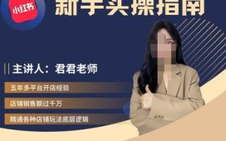 君君-小红书电商从入门到精通，新手实操指南