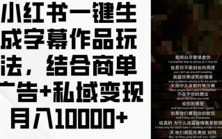 小红书一键生成字幕作品玩法，结合商单广告+私域变现月入1w+【揭秘】