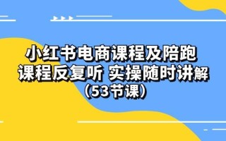 小红书电商课程陪跑课 课程反复听 实操随时讲解 (53节课