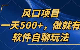 一天500+，只要做就有，软件自聊玩法