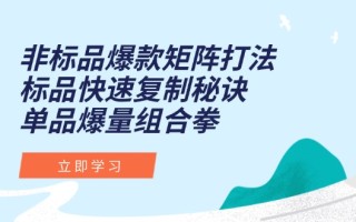 非标品爆款矩阵打法，标品快速复制秘诀，单品爆量组合拳