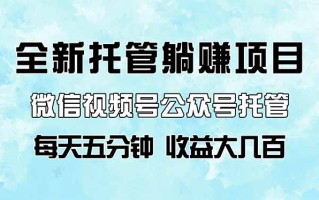 全新托管躺赚项目，微信视频号公众号托管代运营，每天五分钟，收益大几百