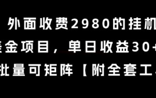 外面收费2980的挂G撸美金项目，单日收益30+美金，可批量可矩阵【揭秘】