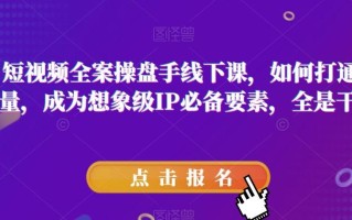 11月短视频全案操盘手线下课，如何打通自然流量，成为想象级IP必备要素，全是干货