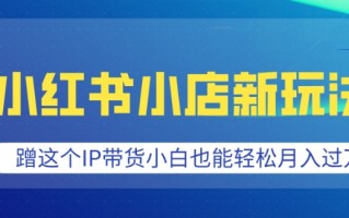 小红书小店新玩法，蹭这个IP带货，小白也能轻松月入过W【揭秘】