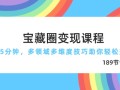 宝藏圈变现课程，每天5分钟，多领域多维度技巧助你轻松变现(189节