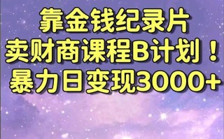 靠金钱纪录片卖财商课程B计划！暴力日变现3000+，喂饭式干货教程！