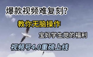 视频号4.0重磅上线，爆款视频难复刻？教你无脑操作宝妈学生党的福利【揭秘】